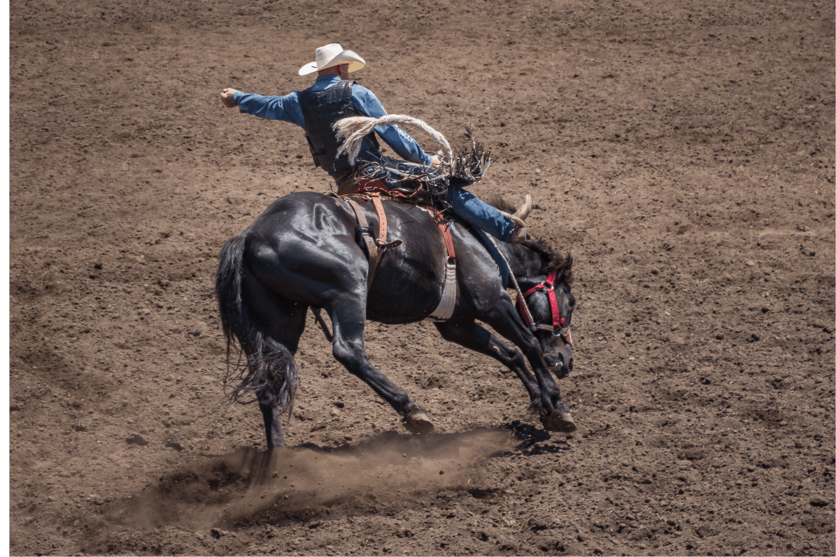 North American Championship Rodeo Shows Kentucky Venues