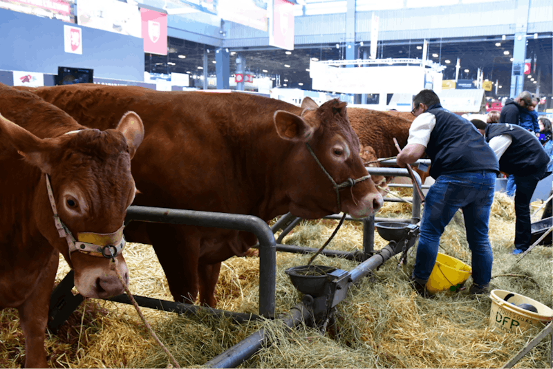 North American Livestock Exposition Shows Kentucky Venues
